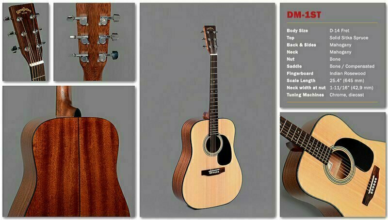 Sigma Guitars by Martin！DM1ST