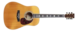 2007 Martin HD7 Roger Mcguinn
