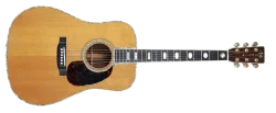 1976 Martin D45