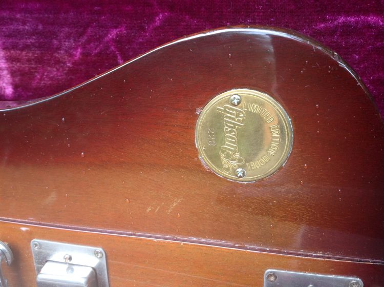 1972 Gibson Medallion Firebird V - Image 3