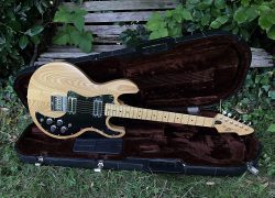 1978 Peavey T60