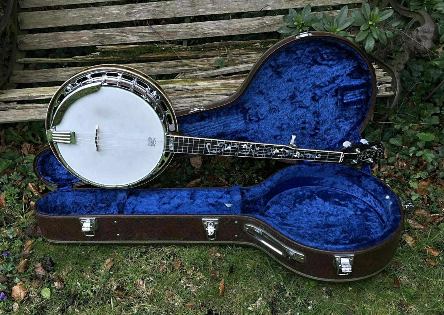 1977 Ibanez Artist 5 String Resonator Banjo Vintage & Modern Guitars