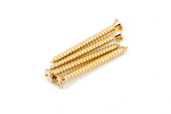 Fender Genuine Parts - Neck Mounting Screws, Gold, (PACK OF 4)