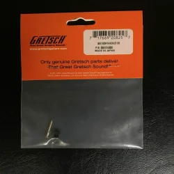 Gretsch Pickguard Screw And Spacer