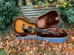 1974 Martin D35