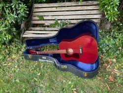 1972 Guild D25 Left Hand