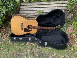 1999 Gibson Formular 1 L