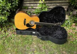 2005 Martin Steve Miller "Pegasus" 000c #85 From 385